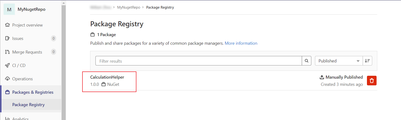 Package Registry