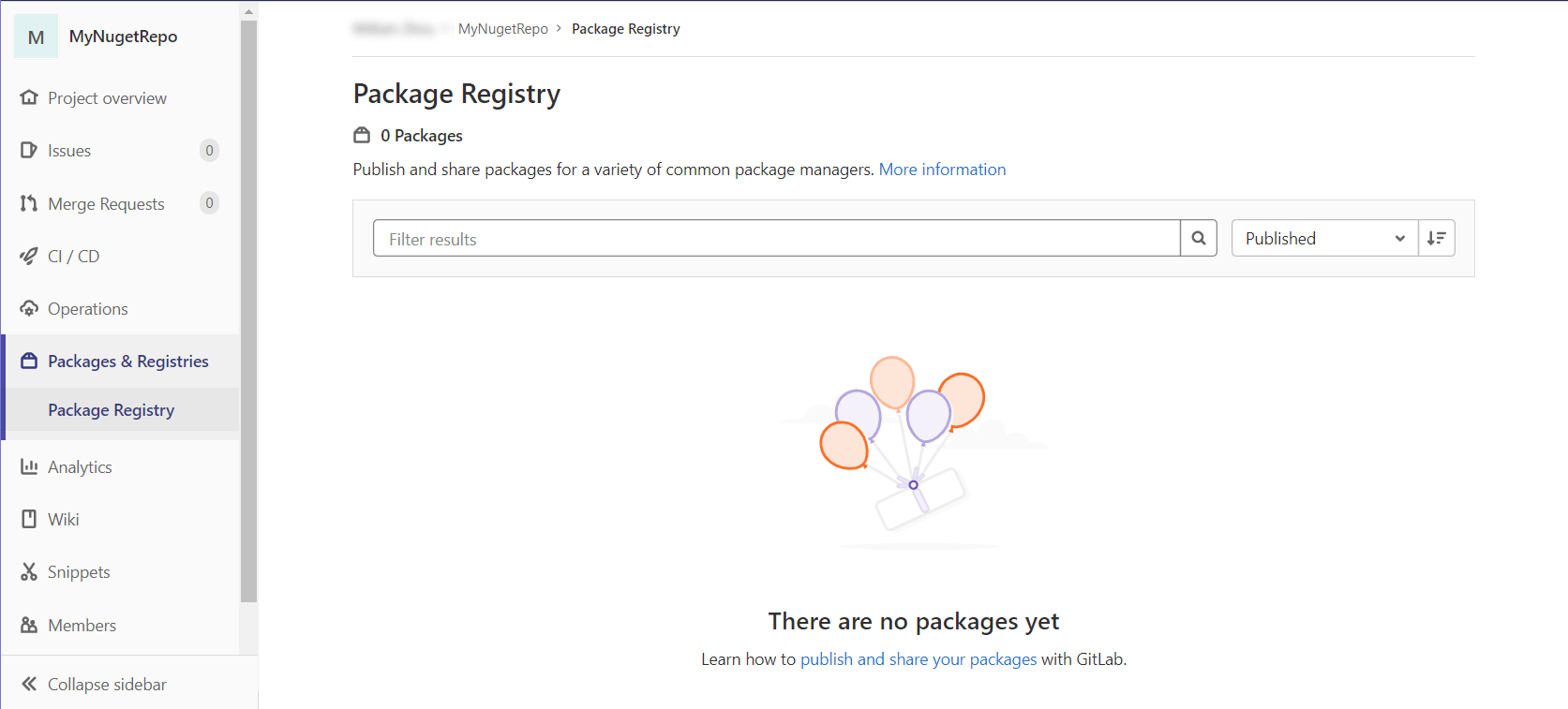 Package Registry